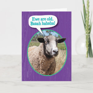 Sheep EWE'S 90 Greeting Birthday Card 90th Birthday/Blank Inside 