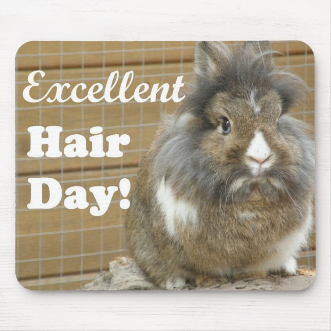 Funny "Excellent Hair Day" for Rabbit Mouse Pad (Front)