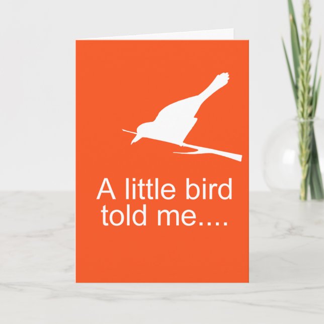 funny expecting new baby congrats card (Front)