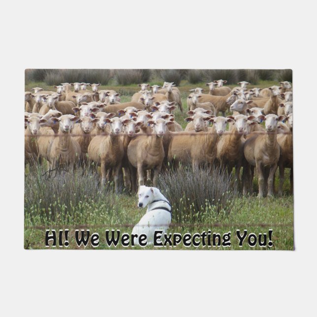 Funny Expecting You Sheep Flock CHANGE TEXT Doormat (Front)