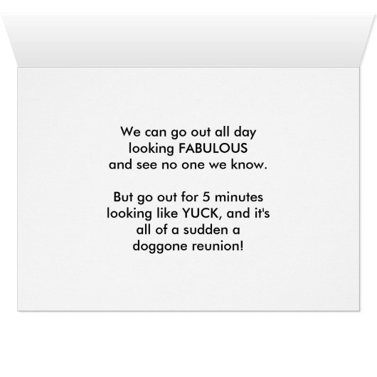 Funny Fabulous Ladies (Inside Horizontal (Bottom))