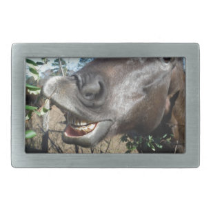 Funny Face brown horse Belt Buckle