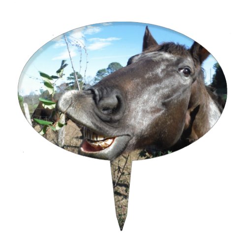 Funny Face brown horse Cake Topper