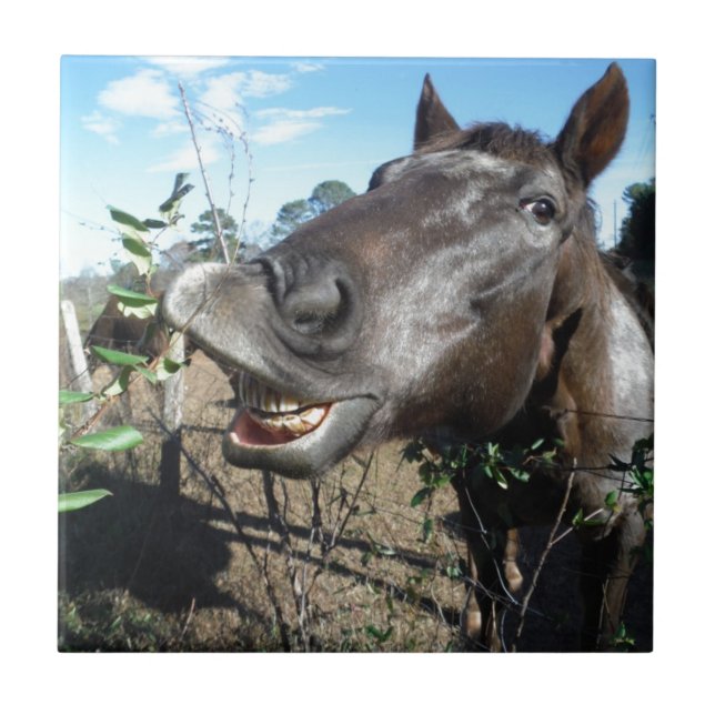 Funny Face brown horse Ceramic Tile (Front)