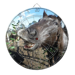 Funny Face brown horse Dart Board
