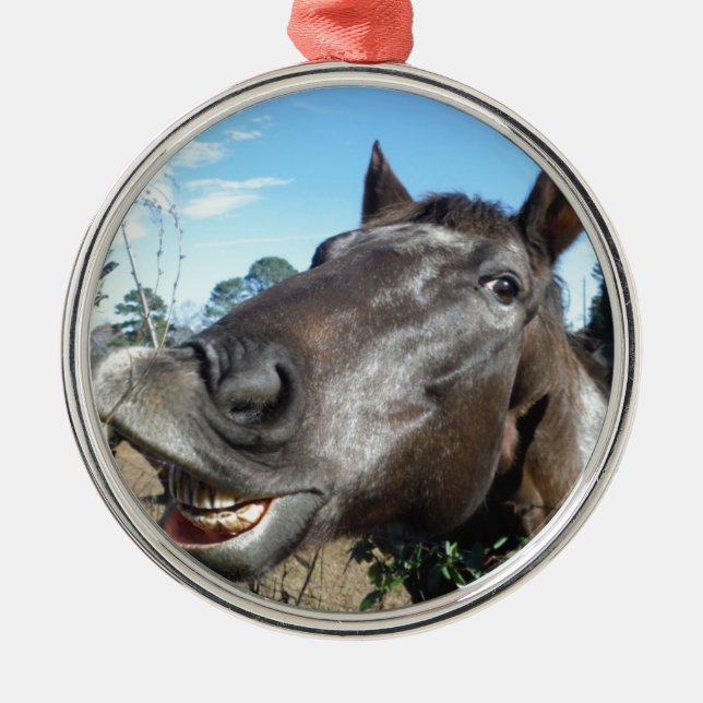 Funny Face brown horse Metal Ornament (Front)