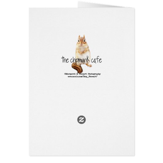 Funny Face Chipmunk Cards (Back)