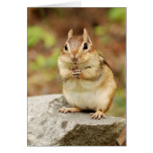 Funny Face Chipmunk Cards (Front)