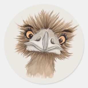 Australian Emu Stickers - 4 Results | Zazzle