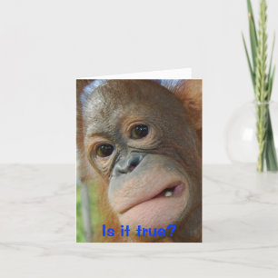 Funny Face Graduation Congratulations Card