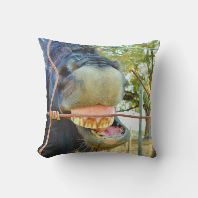 Funny face miniature horse outdoor pillow (Front)