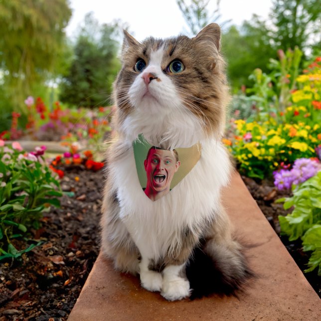 Funny Face Owner Photo Pet Bandana Collar (Cat)