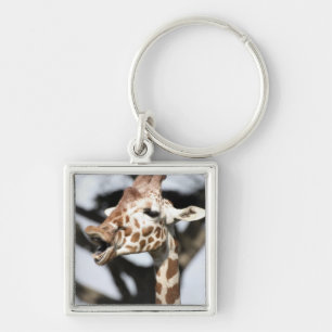 Funny faced reticulated giraffe, San Francisco Keychain