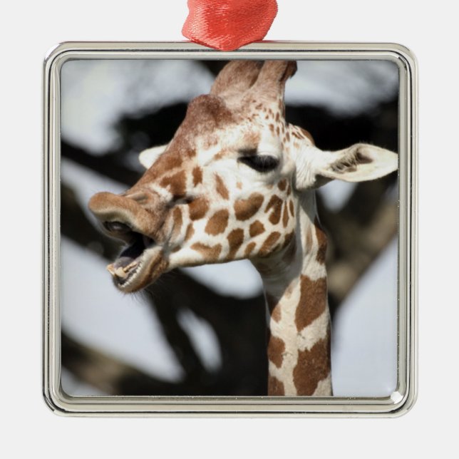 Funny faced reticulated giraffe, San Francisco Metal Ornament (Front)