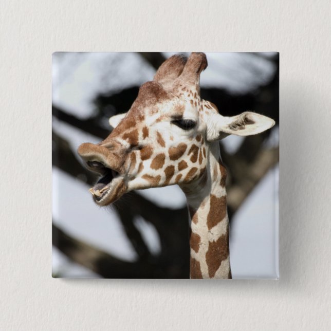 Funny faced reticulated giraffe, San Francisco Pinback Button (Front)