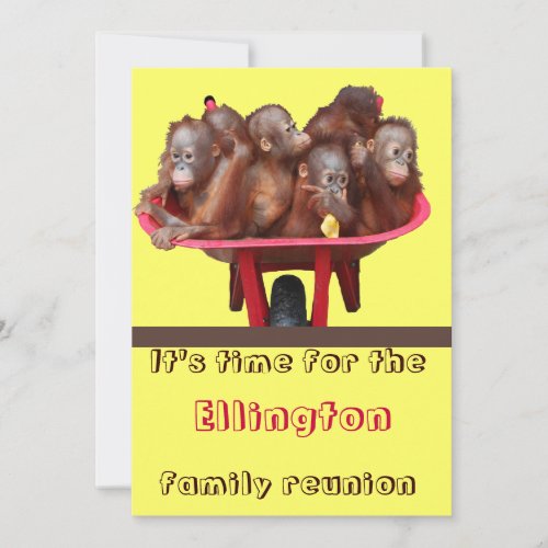 Funny Family Reunion Custom Announcement