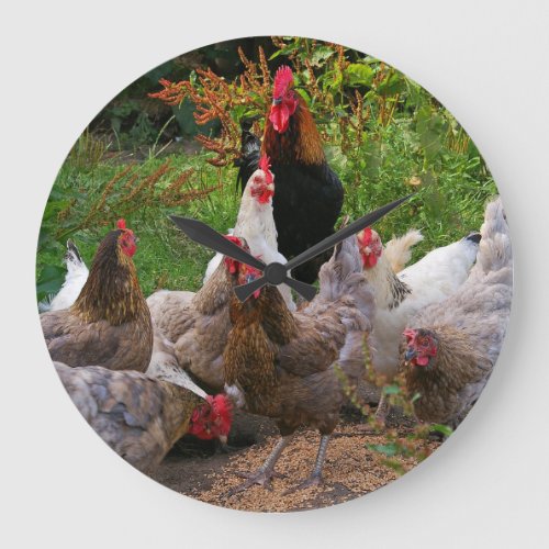 Funny Farmyard Chickens Hens  Rooster Clock