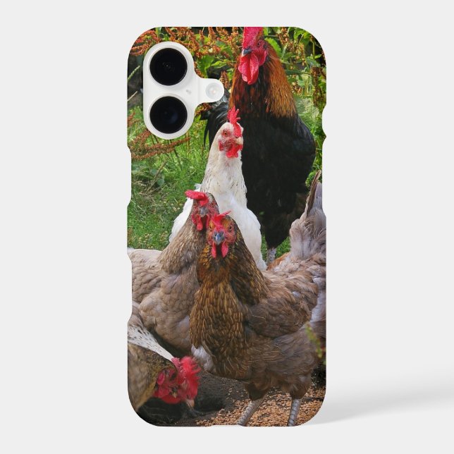 Funny Farmyard Chickens & Rooster iPhone Case (Back)