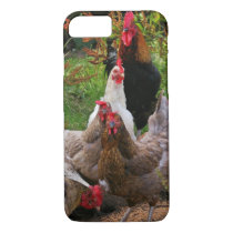 Funny Farmyard Chickens & Rooster iPhone Case