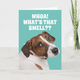 Funny Fart-Smelling Dog For Old Fart's Birthday Ca Card
