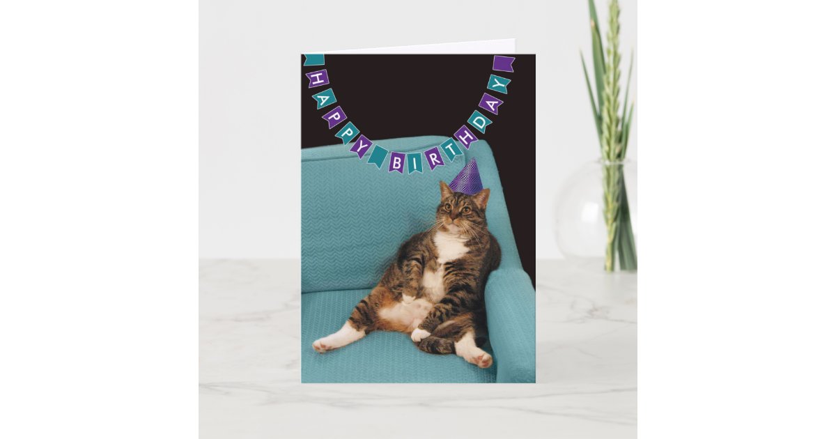 Funny Fat Cat In Purple Hat Happy Birthday Card Zazzle Com
