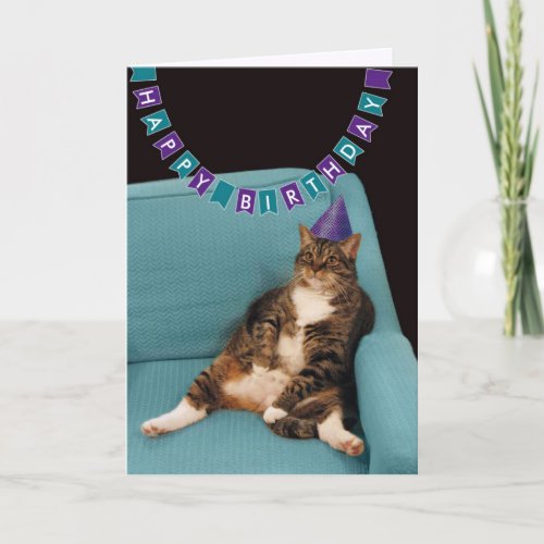 Funny Fat Cat in Purple Hat Happy Birthday Card