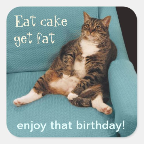 Funny Fat Tabby Cat Eat Cake Get Fat Square Sticker