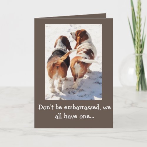Funny Fathers Day Card wCute Basset Hounds Card