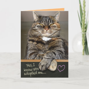 Father's Day Greeting Card FATHER'S DAY Cat Kitten Humorous FROM THE CAT 