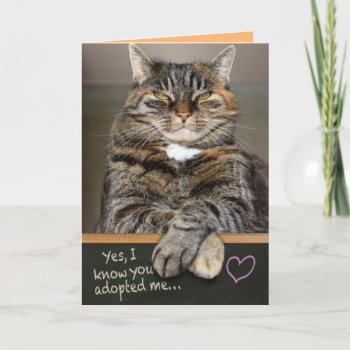 Funny Father's Day From The Cat - I Own You Card by CimZahDesigns at Zazzle