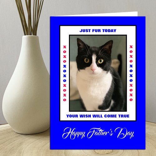 Funny Fathers Day from the Cats Photo Card