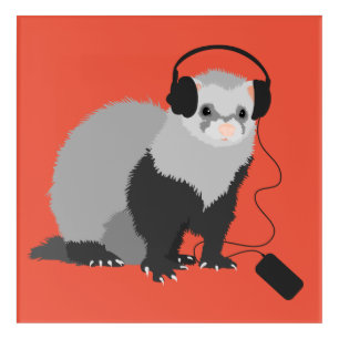 Funny Ferret Music Lover Acrylic Print