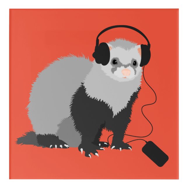 Funny Ferret Music Lover Acrylic Print (Front)