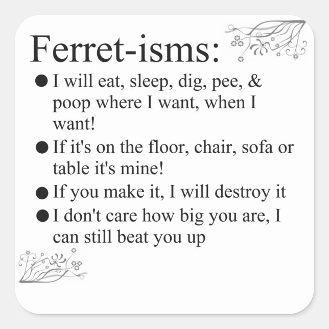 Funny Ferrets Square Sticker (Front)