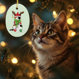 Funny Festive Green Calico Christmas Cat Ceramic Ornament