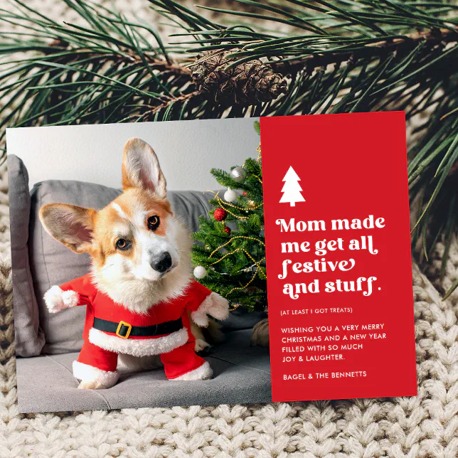 Funny Festive Pet Photo Christmas Holiday Card | Zazzle