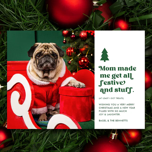 Funny Festive Pet Photo Christmas | White Holiday Card | Zazzle