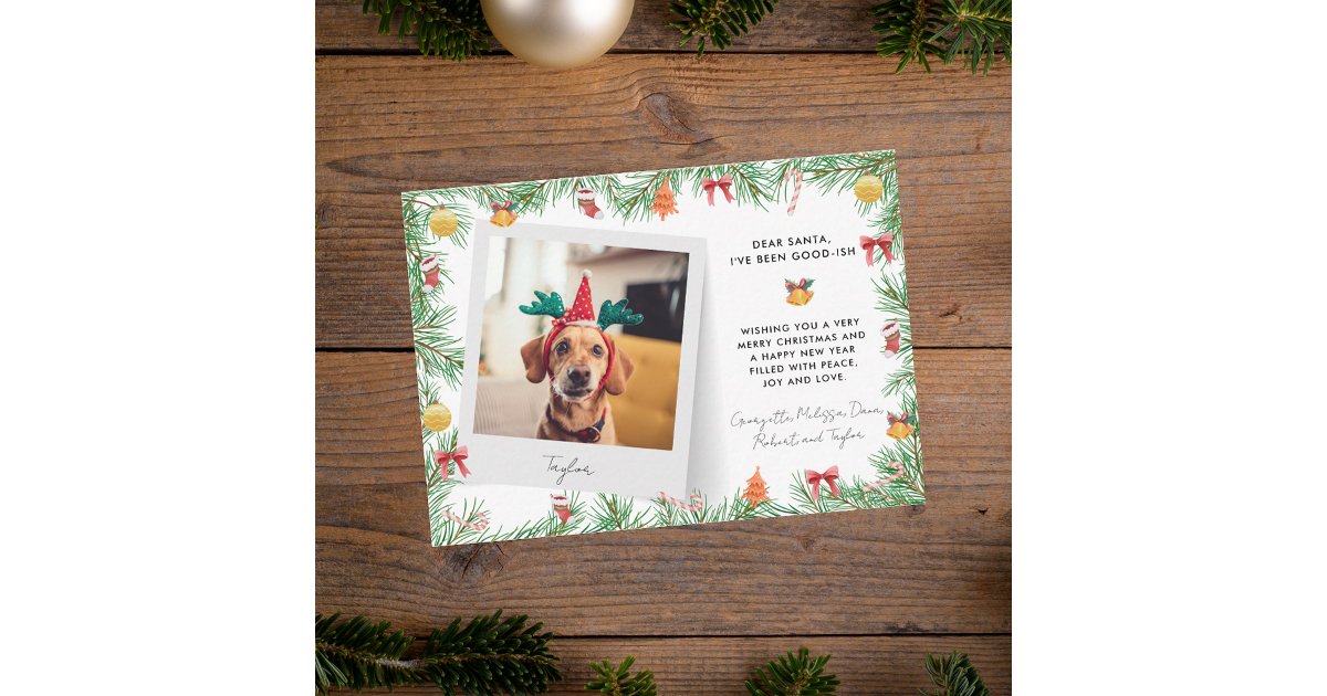 Funny Festive Pet Photo Dog Christmas Holiday Note Card | Zazzle