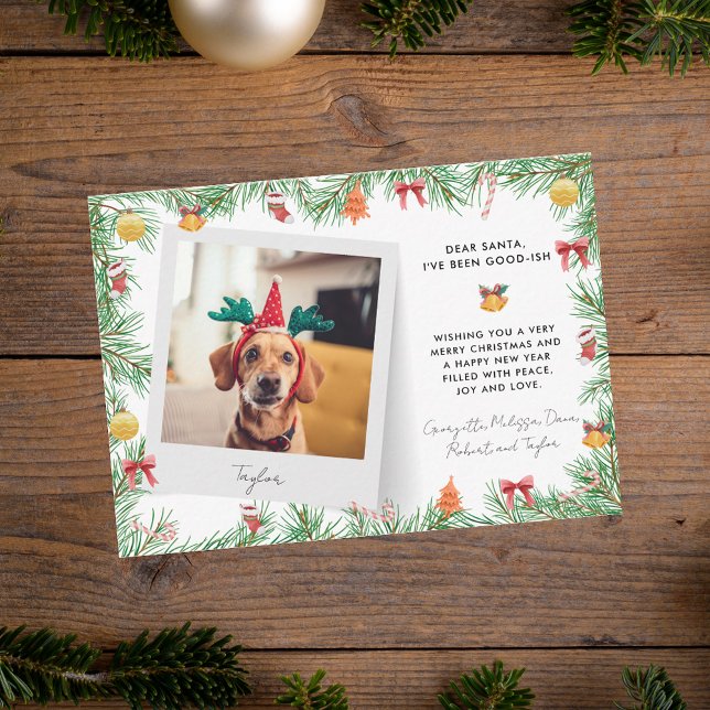 Funny Festive Pet Photo Dog Christmas Holiday Note Card (Funny Festive Pet Photo Dog Christmas Holiday Note Card)