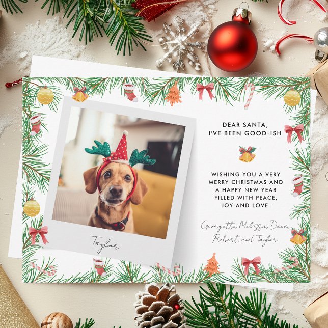 Funny Festive Pet Photo Dog Custom Christmas Holiday Card (Funny Festive Pet Photo Dog Custom Christmas Holiday Card)