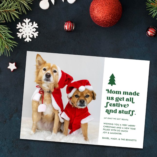 Funny Festive Plural Pets Photo Christmas | White Holiday Card (Creator Uploaded)