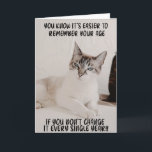 Funny Fierce Cat Birthday Greeting Card<br><div class="desc">Funny Fierce Cat Birthday greeting Card for the cat lovers in your life. This cute greeting card is a perfect way to wish Happy Birthday to a friend,  co-worker,  family member or a special someone.</div>