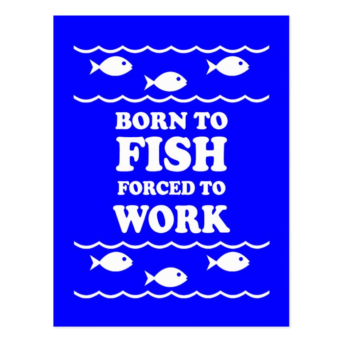 Funny fishing post cards
