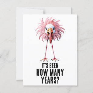Funny Flamingo Flocking Shocking Postcard