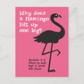 3dRose Grußkarten-Set 'Pink Flamingo' - 12 Karten (15x15 Cm) Mit Umschlägen, USA-hergestellt