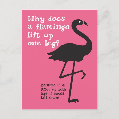 Funny Flamingo Riddle Postcard