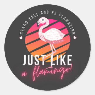Funny Flamingo T-Shirts Classic Round Sticker