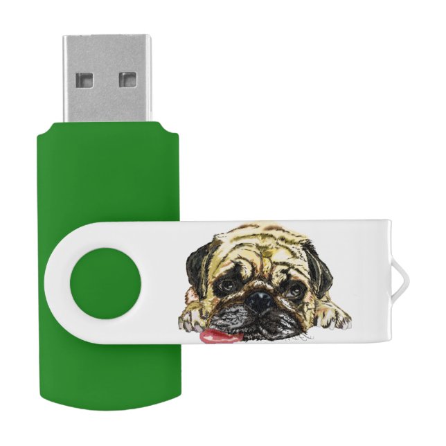 Funny Flash Drive with Pug Dog (Opened)