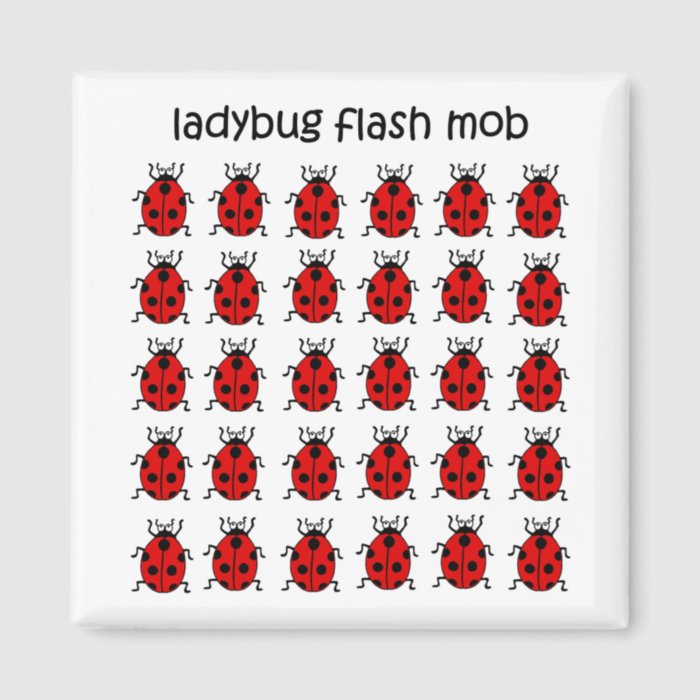 funny flash mob ladybug refrigerator magnet