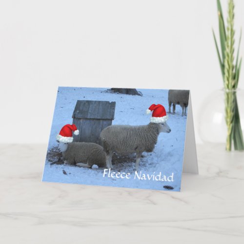 Funny Fleece Navidad Ewe Sheep Christmas Card